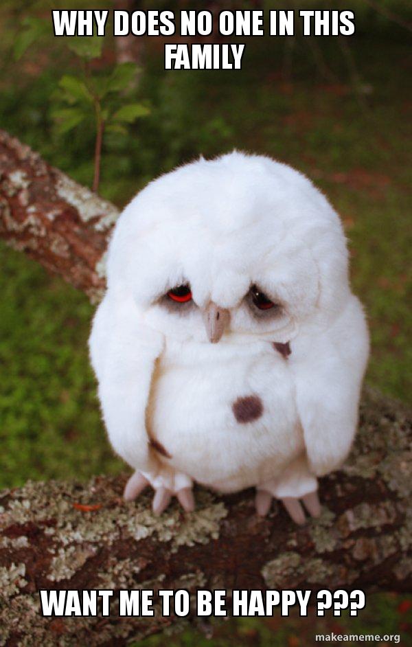 Sad Owl meme
