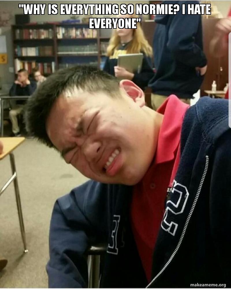 Why Is Everything So Normie I Hate Everyone Make A Meme