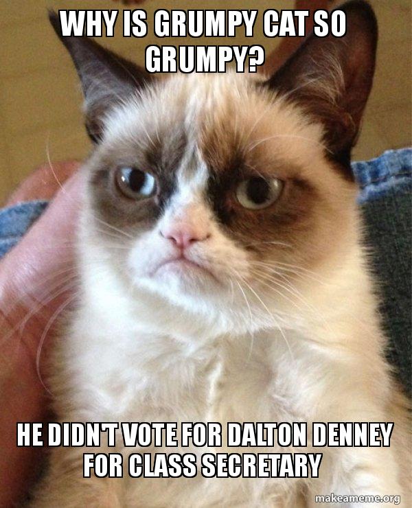 Why is grumpy cat so grumpy? He didn't vote for Dalton Denney for Class