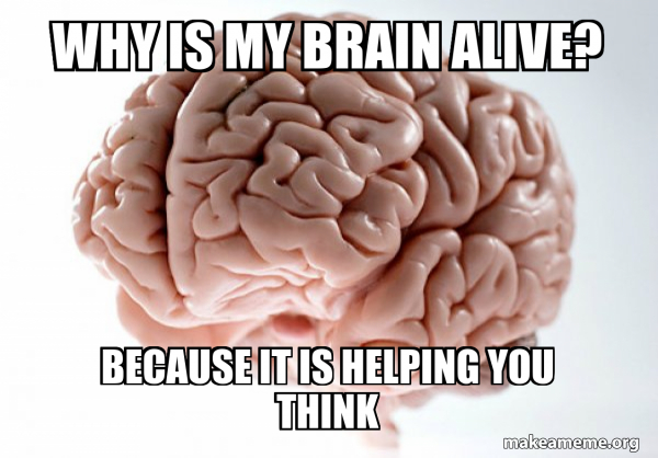 Scumbag Brain meme