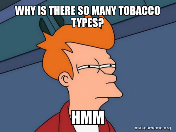 Futurama Fry meme