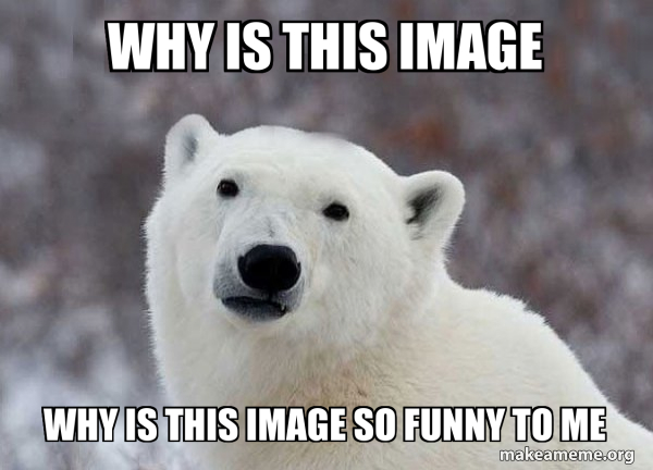 Popular Opinion Polar Bear meme