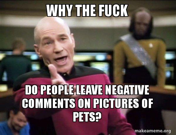 Why the fuck do people leave negative comments on pictures of pets ...