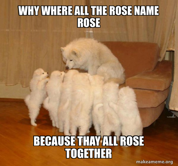 why where all the rose name rose Because thay all rose together ...