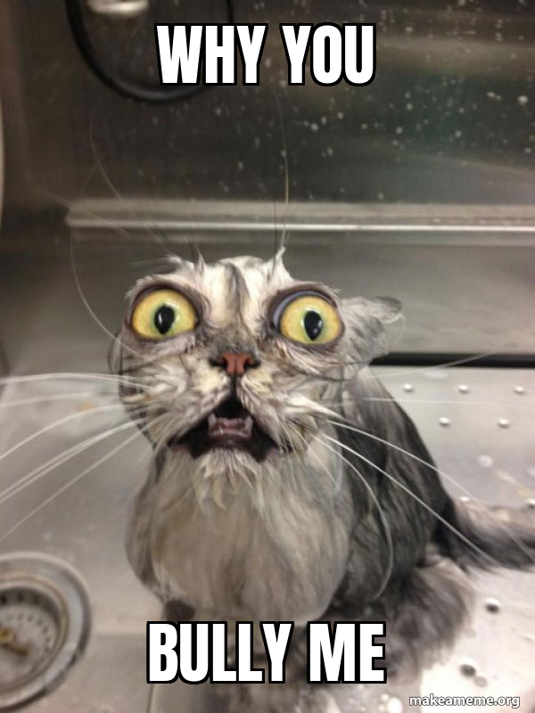 why you bully me - Cat bath Meme Generator