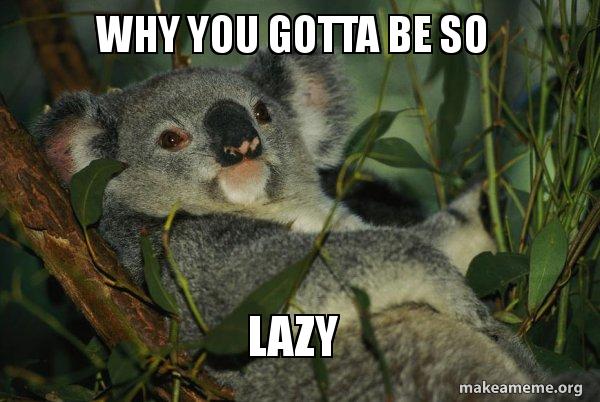 Why You Gotta Be So Lazy Laid Back Koala Make A Meme