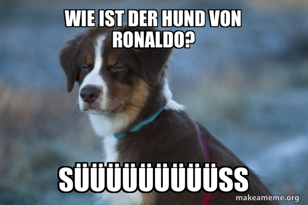 Unsure Dog meme