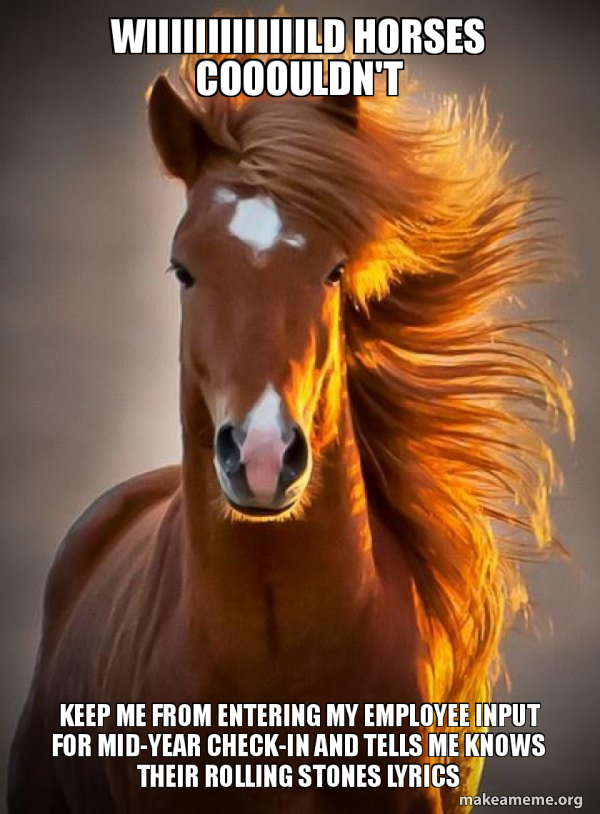 Ridiculously photogenic horse meme