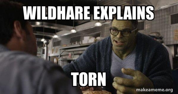 Hulk - These are Confusing Times meme
