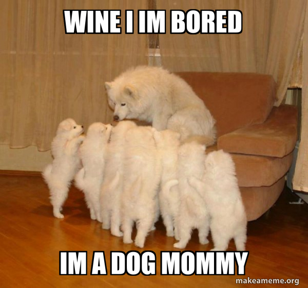 Storytelling Dog meme