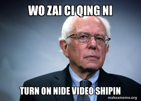 Bernie Sanders meme