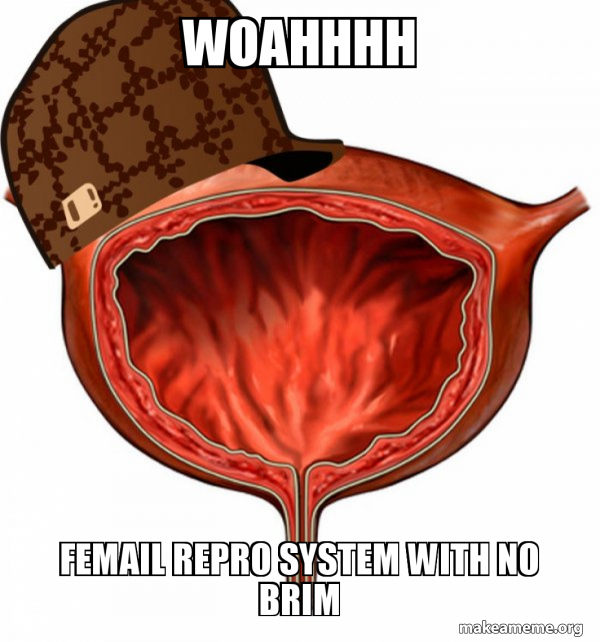 Scumbag Bladder meme