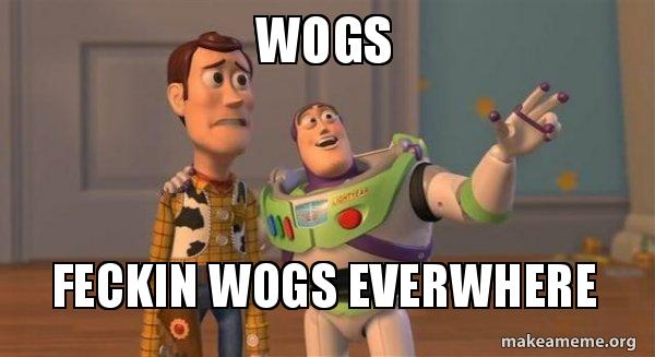 Wogs Feckin wogs everwhere - Buzz and Woody (Toy Story) Meme Meme Generator