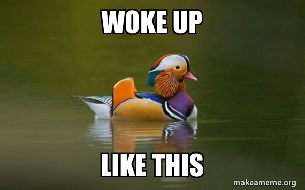 Fashionable Advice Mallard meme