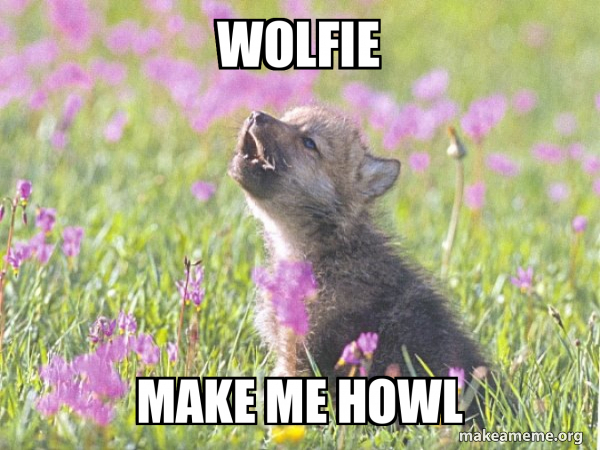 Baby Insanity Wolf meme