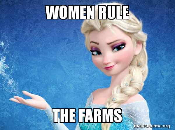 Elsa from Frozen meme