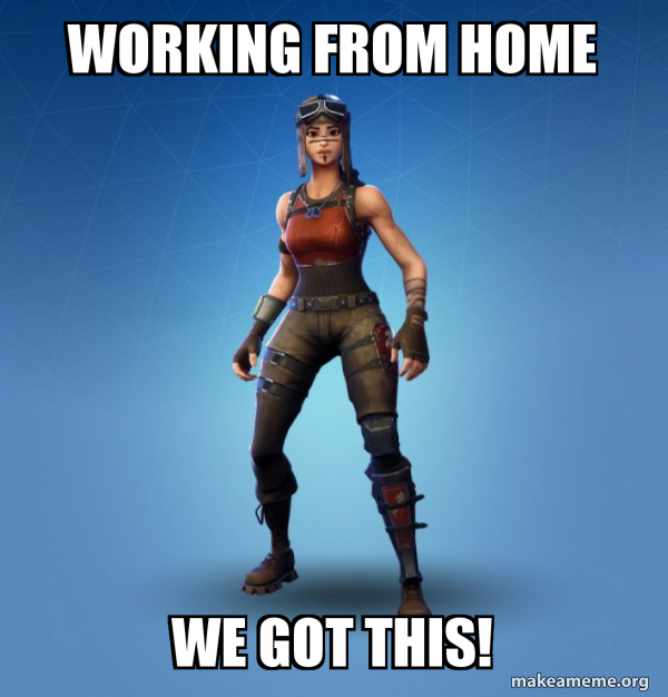 Renegade Raider Fortnite Skin meme