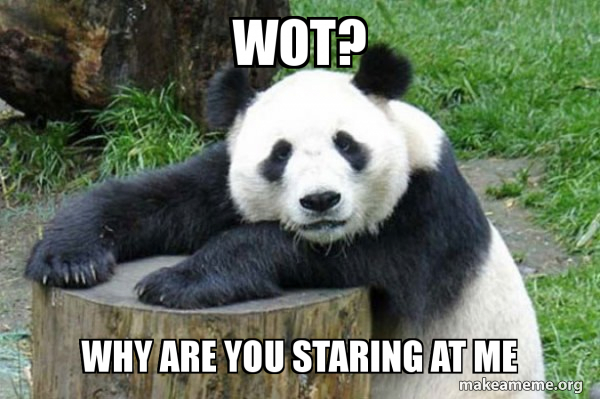 Confession Panda meme