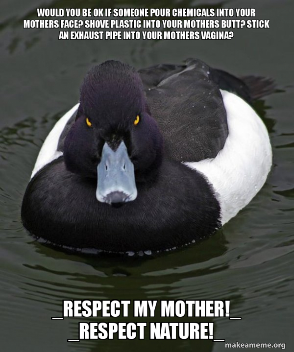 Revenge Duck ( Angry Advice Duck ) meme