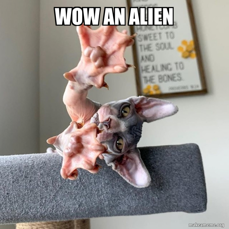 wow an Alien Meme Generator