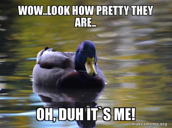 Zen Advice Mallard meme