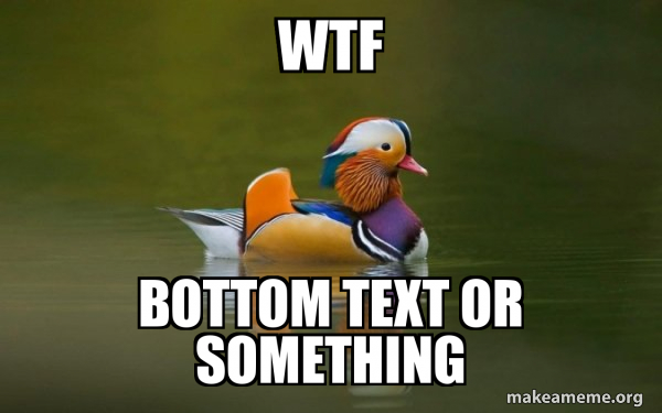 Fashionable Advice Mallard meme