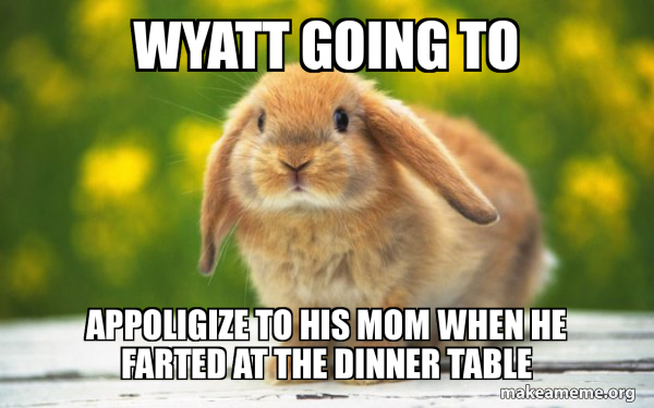 Regretful Rabbit meme