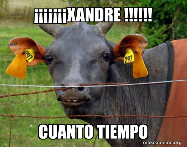 Hairless Cow meme