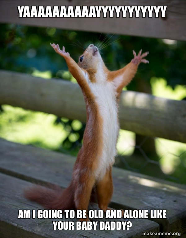 Happy Squirrel meme