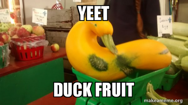 Gourd Advice Mallard meme