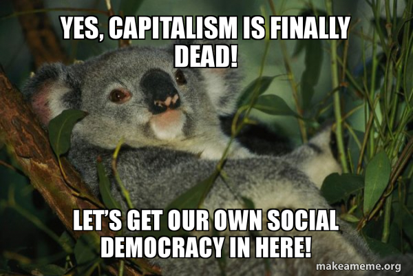 Laid Back Koala meme