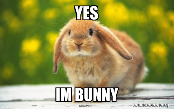 Yes Im bunny - Regretful Rabbit Meme Generator