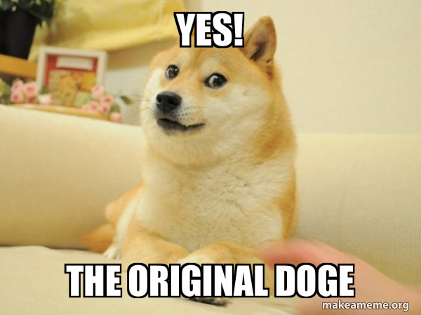 Doge meme