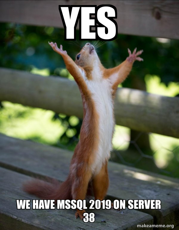 yes we have MSSQL 2019 on server 38 - Happy Squirrel Meme Generator