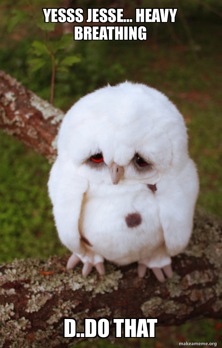 Yesss Jesse… heavy breathing D..do that - Sad Owl Meme Generator