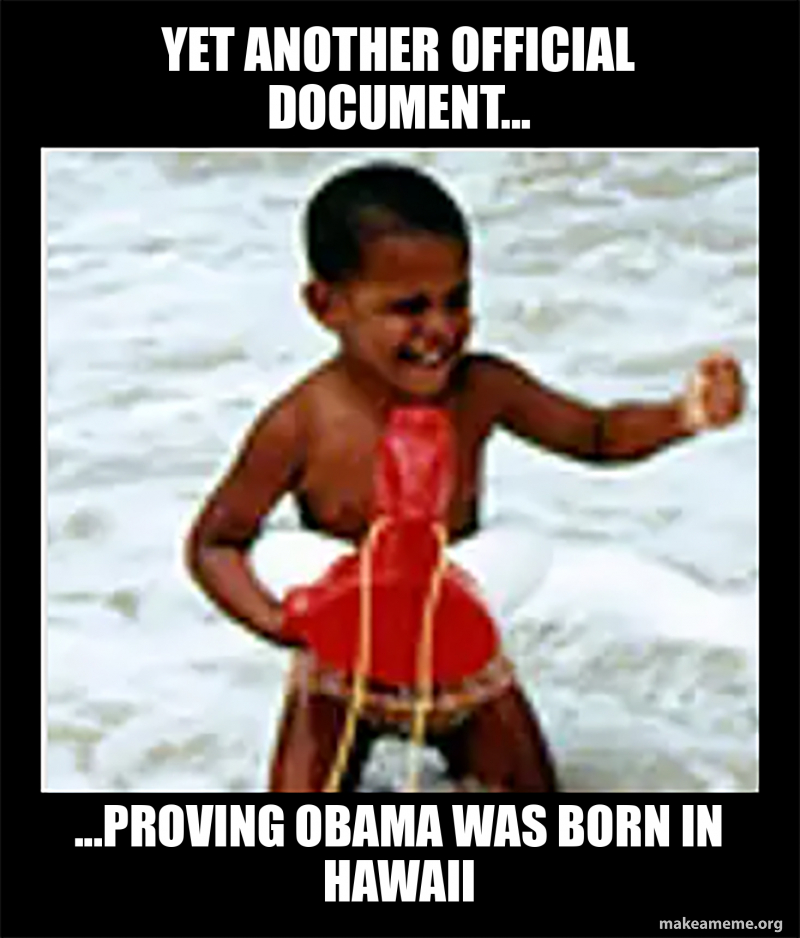 Yet Another Official Document... ...Proving Obama Was Born In Hawaii ...