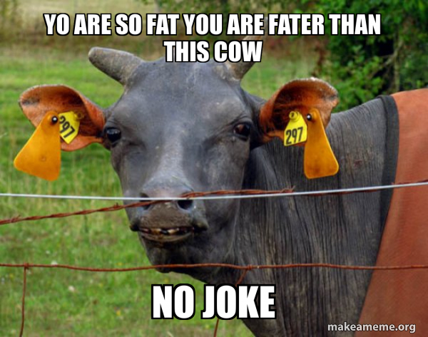 Hairless Cow meme