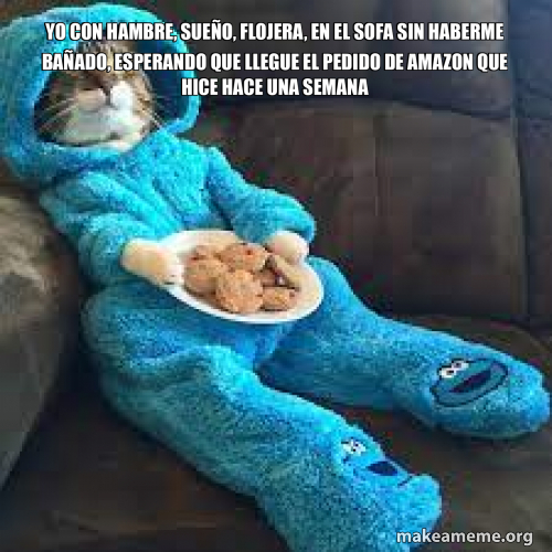 yo con hambre, sueño, flojera, en el sofa sin haberme bañado, esperando ...