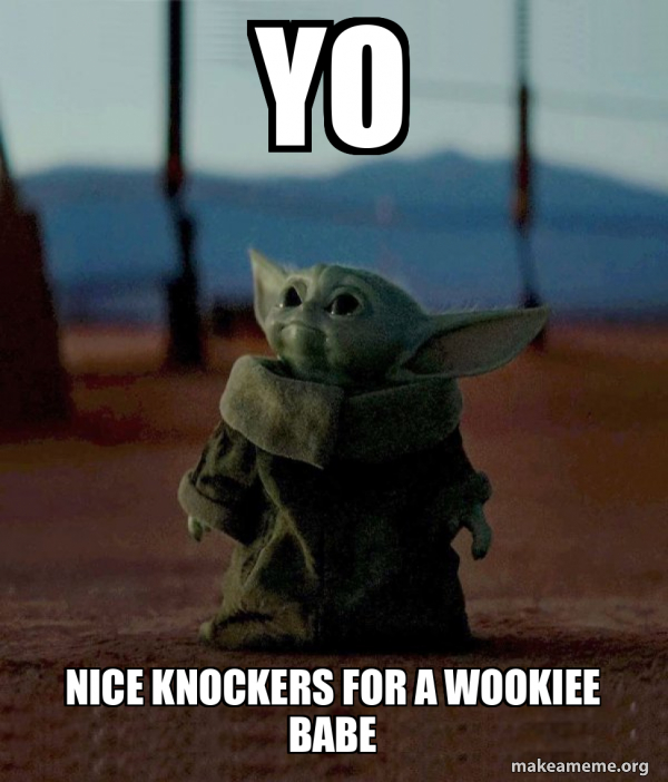 Yo Nice knockers for a Wookiee babe Baby Yoda Make a Meme