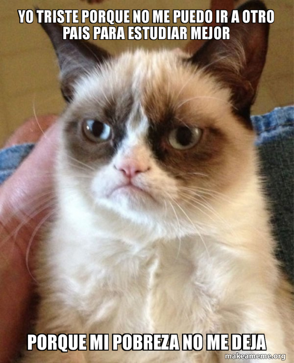 Grumpy Cat meme