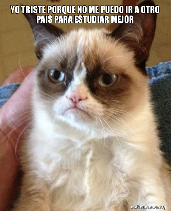 Grumpy Cat meme