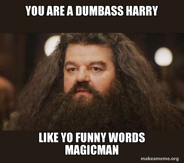 Hagrid - I should not have said that meme