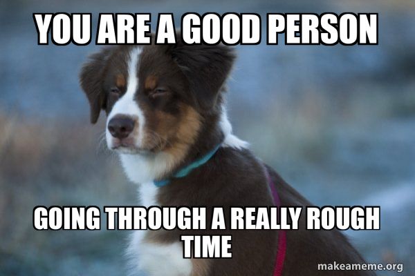 YOU ARE A GOOD PERSON GOING THROUGH A REALLY ROUGH TIME - Unsure Dog ...