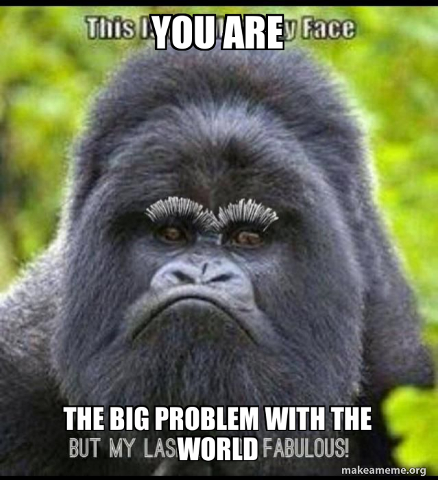 you are the big problem with the world Meme Generator