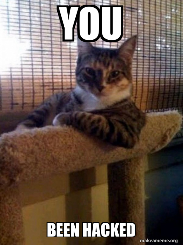 YOU BEEN HACKED - The Most Interesting Cat in the World Meme Generator