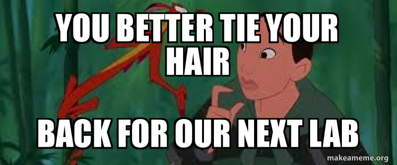 You Better Tie Your Hair Back For Our Next Lab Make A Meme
