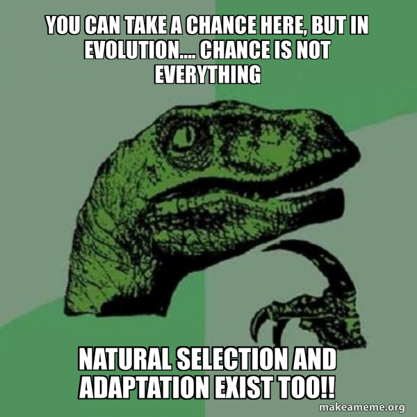 You can take a chance here, but in evolution…. Chance is not everything ...