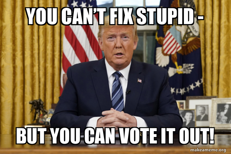You Can't Fix Stupid But You Can Laugh At It You can’t Fix stupid - But you can vote it out! Meme Generator