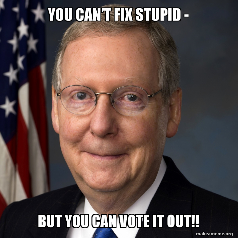 You canâ€™t fix stupid - But you can vote it out!! Meme Generator