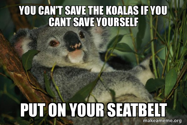 Laid Back Koala meme